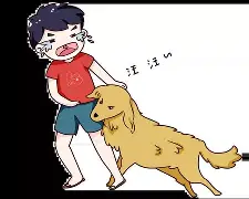 AG官网-生殖器被咬伤！巴萨旧将卡莱斯为狗劝架惨遭袭击住院治疗(巴萨拉卡)