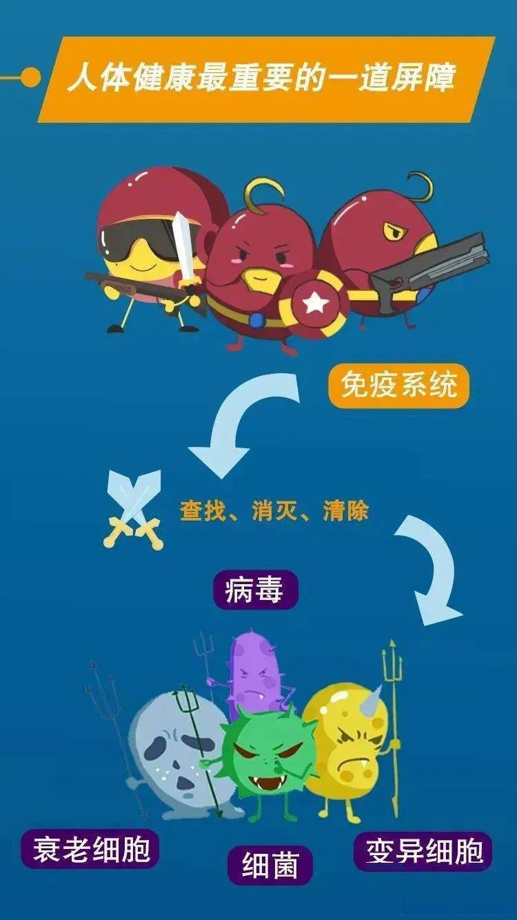 AG官网-伯恩利取胜保持领先，防线坚不可摧的简单介绍